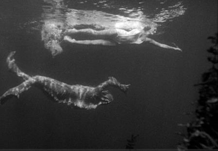 Creature from the Black Lagoon Julie Adams Gill-Man underwater 11x14 Photo 