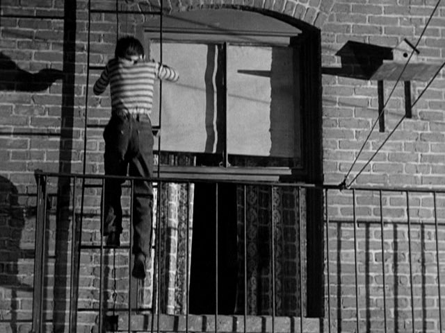 1949 the window bobby-driscoll